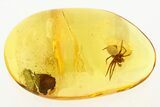 Huge Detailed Fossil Spider (Araneae) In Baltic Amber #272685-1